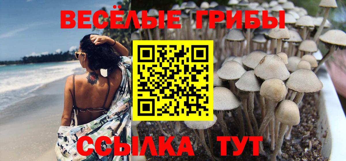 Галлюциногенные грибы Magic Shrooms Нурлат